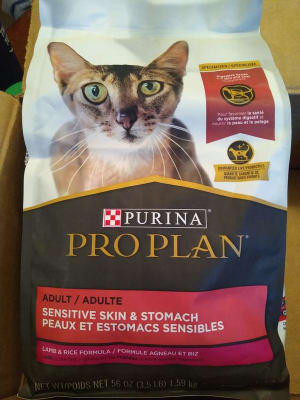 Purina Pro Plan High Protein Sensitive Skin Stomach Dry Cat Food Lamb Rice Formula Wilco Farm Stores