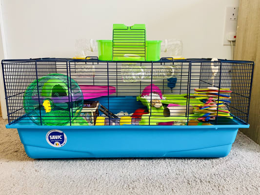 hamster heaven cage review