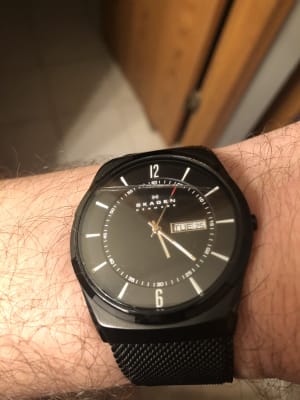 skagen melbye titanium