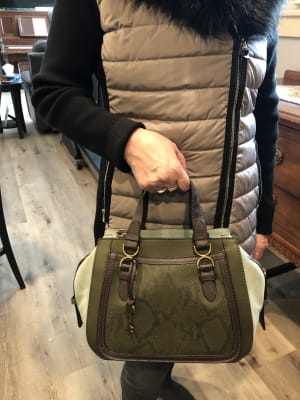 Brooke Satchel Fossil 2024 favors