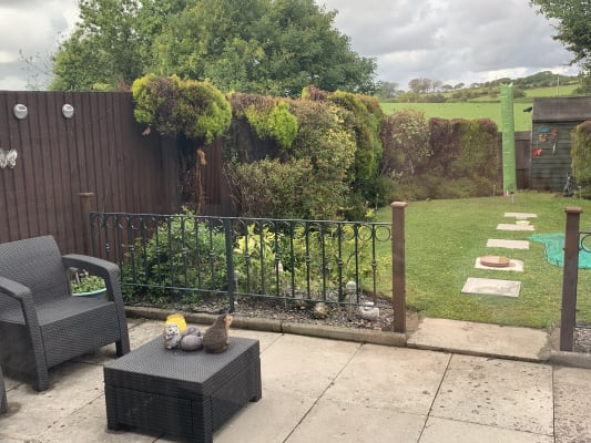 Cuprinol 5 Year Ducksback Matt Shed Fence Treatment Forest Oak