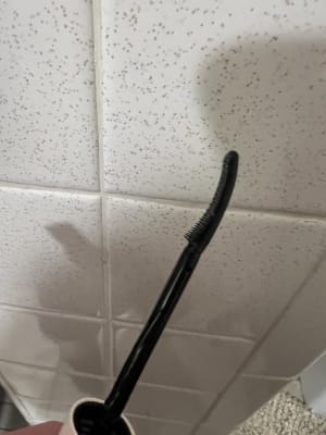 View Gallery Image #6