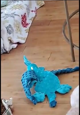 Old navy dog online toys