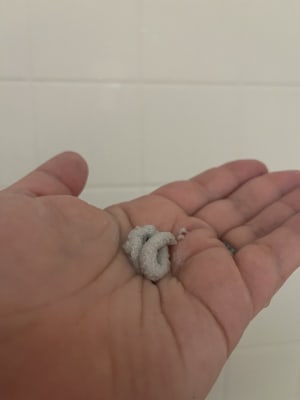 View Gallery Image #5