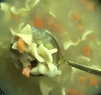 Organic Chicken Noodle Soup, 17 oz - TrueFood