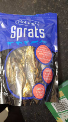 Hollings sprats outlet