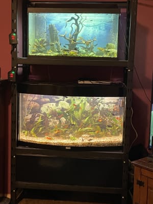 Homebase fish tank store