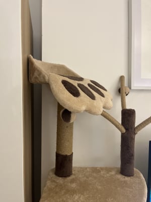 Pets at Home Avery Ascent Cat Scratch Tower Pets At Home