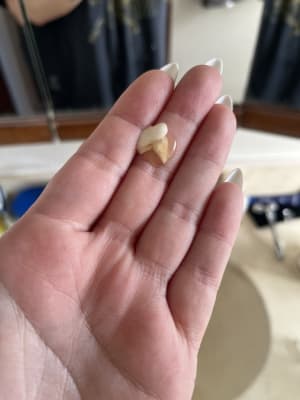 View Gallery Image #9