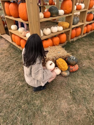 View Gallery Image #2