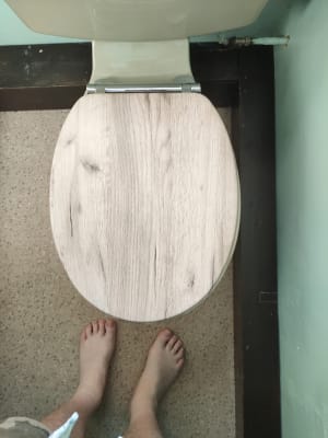 Grey oak toilet seat online