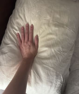 View Gallery Image #2