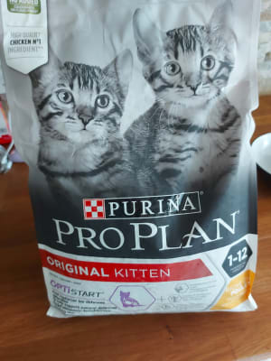 Pro Plan 1 12 months Healthy Start Dry Kitten Food Chicken 1.5kg