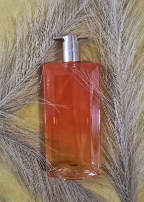 View Gallery Image #15