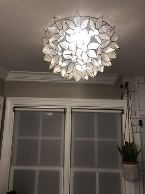 Capiz Petal Flush Mount Ceiling Light 