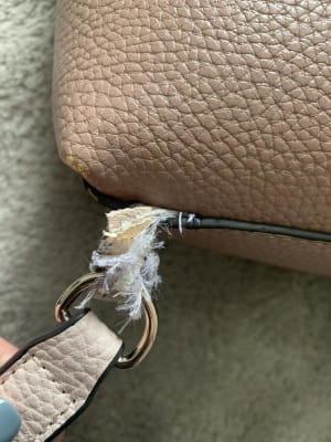 Guess Varsity Pop Backpack - Women's Bags & Wallets in Latte Stone