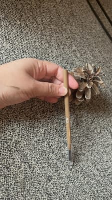 View Gallery Image #15