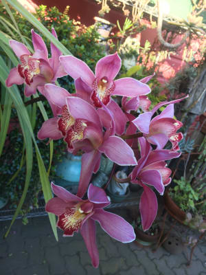 View Gallery Image #3