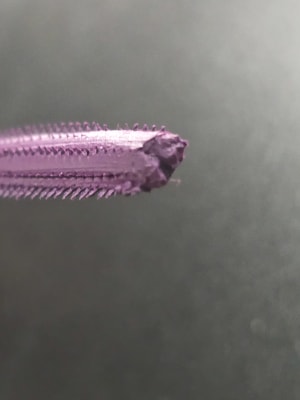 View Gallery Image #4