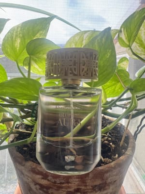 View Gallery Image #12