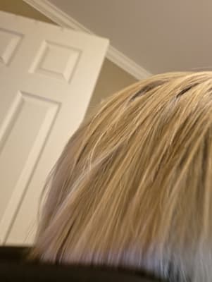 View Gallery Image #7