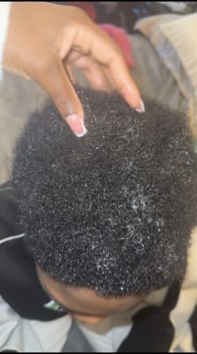 View Gallery Image #12