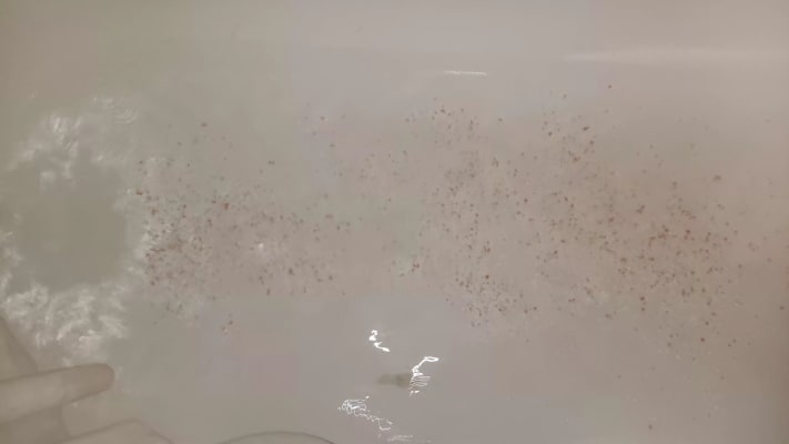 View Gallery Image #16