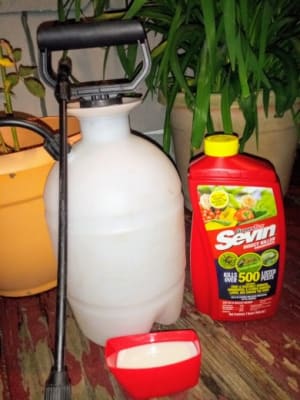 Kill over 500 insects - Sevin® Insect Killer Concentrate | Sevin