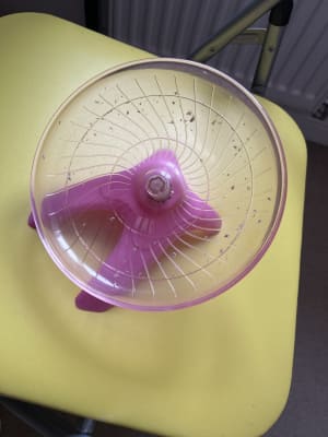 Fly n saucer hamster wheel online