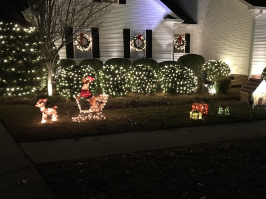 big lots outdoor christmas lights Off