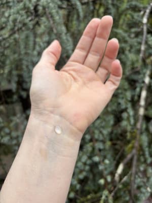 View Gallery Image #15