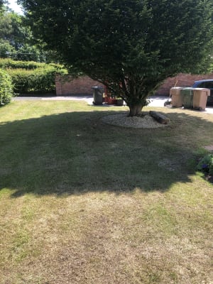 Wickes scarifier discount