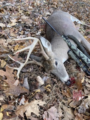 Hornady Superformance 270 Winchester Ammo 140 Grain Hornady SST (Super