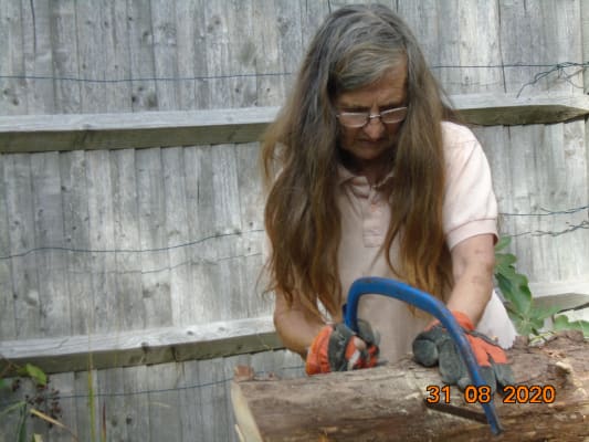 Wickes General Purpose Bow Saw Blade 24in Wickes