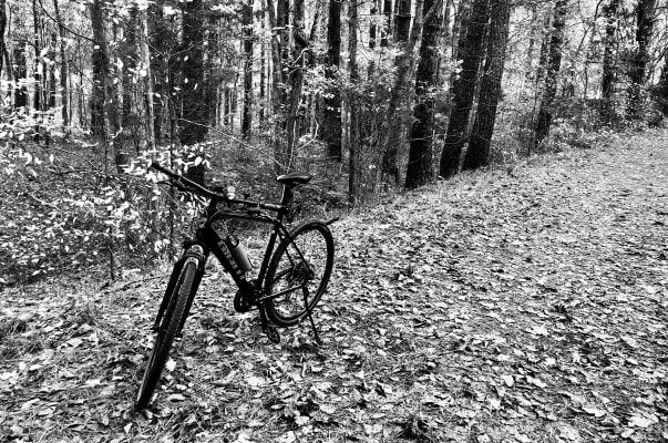 Roam 3 Disc Men Adventure Bike Giant Bicycles United States Roam 3 Disc Men Adventure Bike Giant Bicycles United States