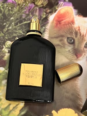 View Gallery Image #13