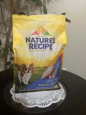 Nature's recipe small bites dog food outlet