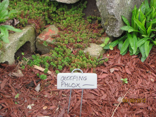 Garden Marker Permanent Marking Pen, Plant Labels: J.W. Jung Seed Company