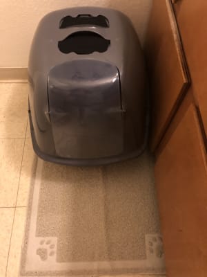 big lots litter box