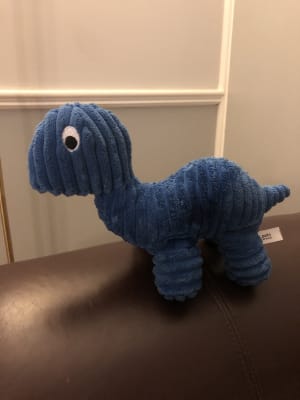 Pets at home dinosaur dog toy 2025