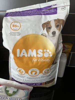 Iams for vitality top puppy