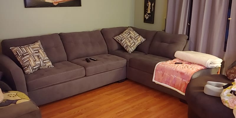 Pasadena Tan Living Room Sectional, Big Lots Sectional Sofa Reviews
