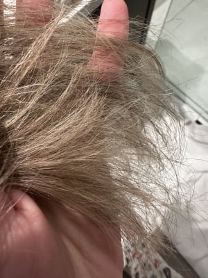 View Gallery Image #15