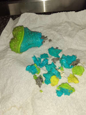 kong core strength bone