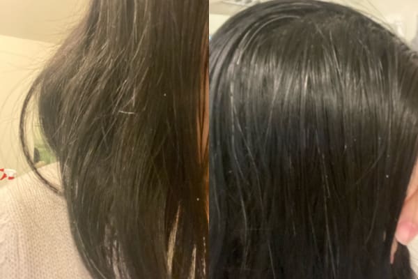 View Gallery Image #5