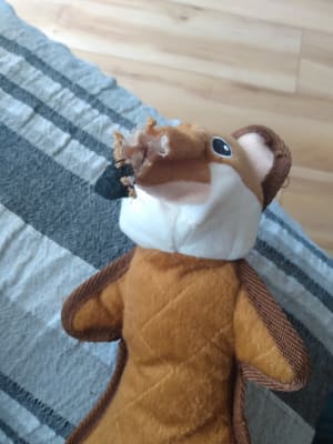 Wainwright S Ruff And Tuff Fox Dog Toy Large Pets At Home
