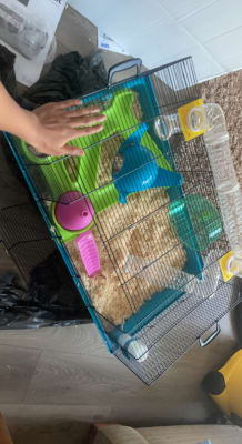 Savic sky metro hamster cage shop