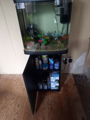Fish tank stand pets sale at home