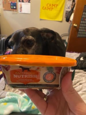 Ava weight management dog food clearance