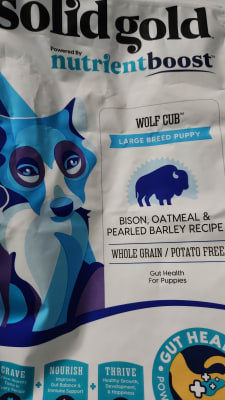 Wolf Cub